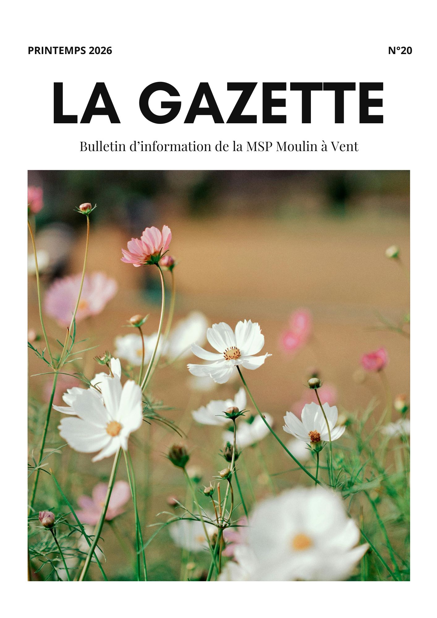 Gazette n°20